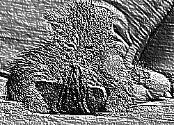 Skamielina