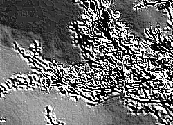 Skamielina