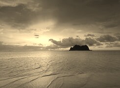 Szary + Sepia