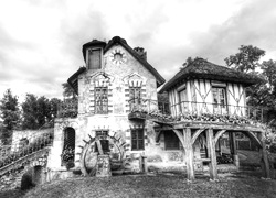 Szary + Sepia