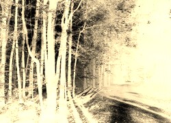 Sepia + Negatyw