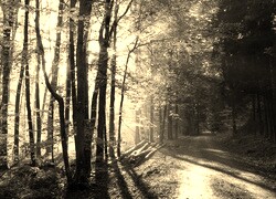 Sepia