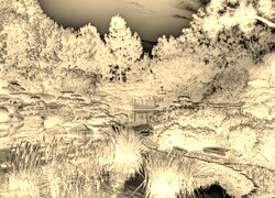 Sepia + Negatyw