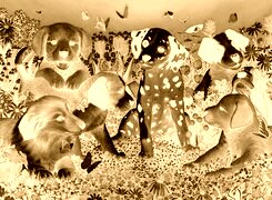Sepia + Negatyw