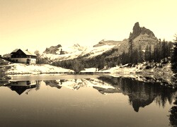 Szary + Sepia