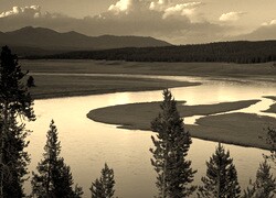 Szary + Sepia