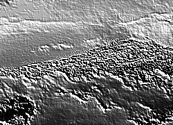 Skamielina