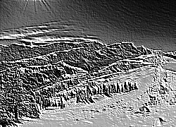 Skamielina