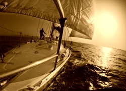 Sepia