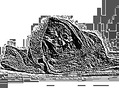 Skamielina