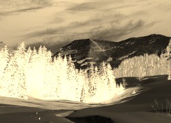 Sepia + Negatyw