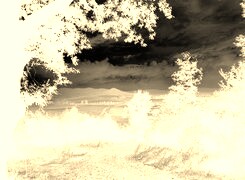 Sepia + Negatyw