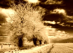 Sepia