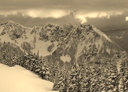 Szary + Sepia