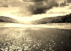 Szary + Sepia