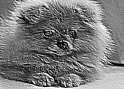 Skamielina