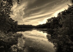 Szary + Sepia