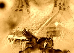 Sepia + Negatyw