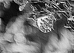 Skamielina