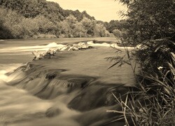 Sepia