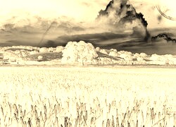 Sepia + Negatyw