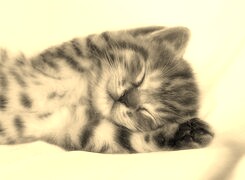 Sepia