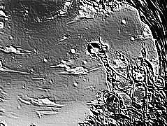 Skamielina