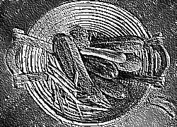 Skamielina
