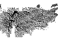 Skamielina