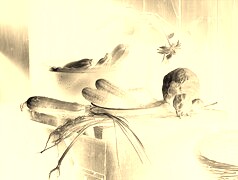 Sepia + Negatyw