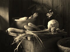 Szary + Sepia