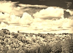 Szary + Sepia
