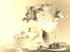 Sepia + Negatyw