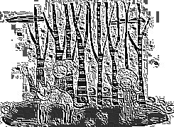 Skamielina