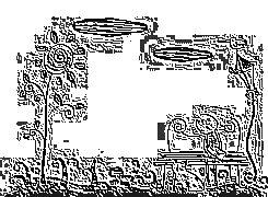 Skamielina