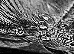 Skamielina