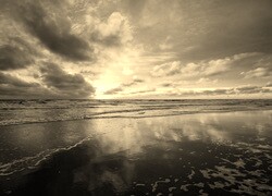 Szary + Sepia