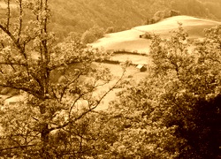 Sepia