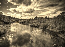 Szary + Sepia