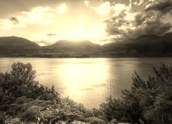 Sepia