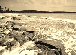 Szary + Sepia