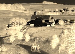Sepia + Negatyw
