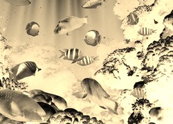 Sepia + Negatyw