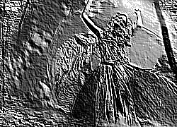 Skamielina