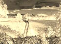 Sepia + Negatyw