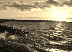 Szary + Sepia