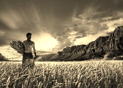 Szary + Sepia