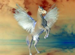 Negatyw