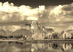 Szary + Sepia