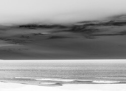 Szary + Negatyw